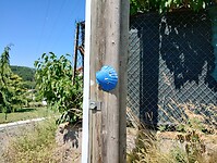 IMG_20250618_111900708_HDR