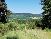 IMG_20250618_105746894