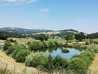 IMG_20250619_131719393