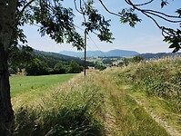 IMG_20250619_125323294