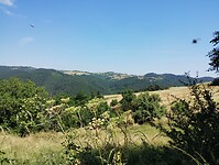 IMG_20250619_120148409