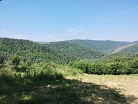 IMG_20250619_115220330