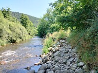 IMG_20250619_113625078_HDR