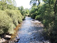 IMG_20250619_113304670