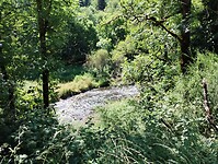IMG_20250619_112105666_HDR