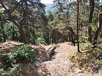 IMG_20250619_110606741