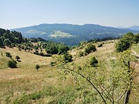 IMG_20250619_104712479