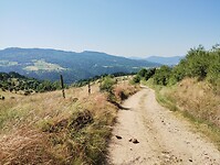 IMG_20250619_104558702