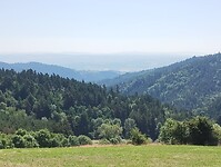IMG_20250619_101331998