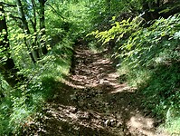 IMG_20250619_094015981_HDR