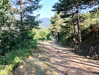 IMG_20250619_092417482_HDR