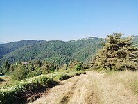 IMG_20250619_091335395