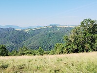 IMG_20250619_090408781