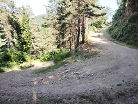 IMG_20250619_093243422