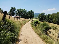 IMG_20250620_132007351