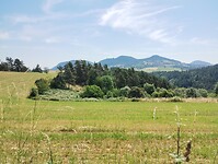 IMG_20250620_115048477