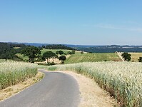 IMG_20250620_113542864