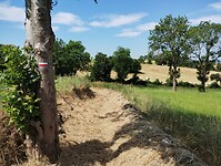IMG_20250620_112617651