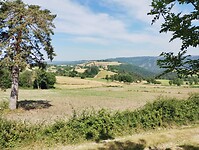 IMG_20250620_105556803