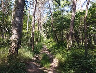 IMG_20250620_103425261