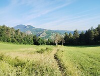 IMG_20250620_084511944