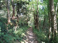 IMG_20250620_083336213