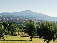 IMG_20250620_081501154