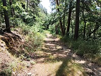 IMG_20250620_120230418_HDR