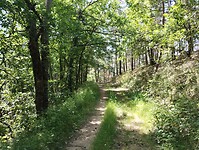 IMG_20250620_115641372