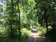 IMG_20250621_130148726_HDR