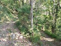 IMG_20250621_084828175