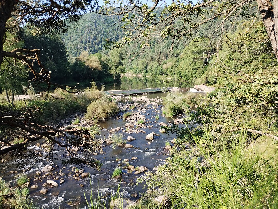 IMG_20250621_083803993