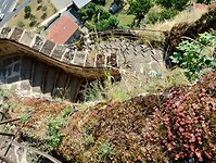 IMG_20250622_095624264_HDR