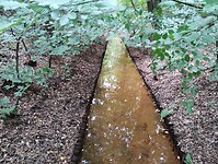 IMG_20250708_140656245
