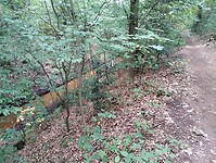 IMG_20250708_140458401