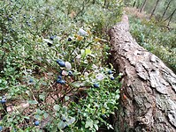 IMG_20250708_120625052