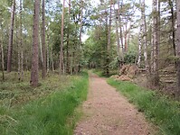 IMG_20250708_115851566