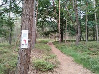 IMG_20250708_115145368