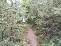 IMG_20250708_114255007