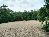 IMG_20250708_112933787_HDR