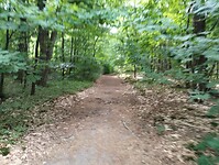IMG_20250708_112806514