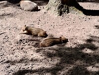 IMG_20250709_152554116_HDR