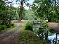 IMG_20250709_140659775_HDR