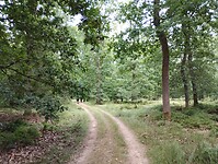 IMG_20250709_114034078