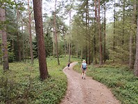 IMG_20250709_112701399