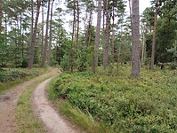 IMG_20250709_111148578