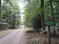 IMG_20250709_104837746