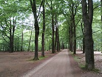 IMG_20250709_103520912