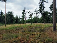IMG_20250710_113923057~2