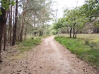 IMG_20250710_130617910